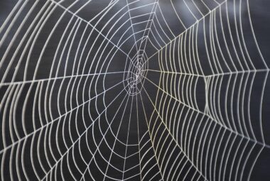 Emotional Traps In Sports Betting