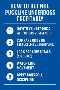 NHL-Puckline-Betting